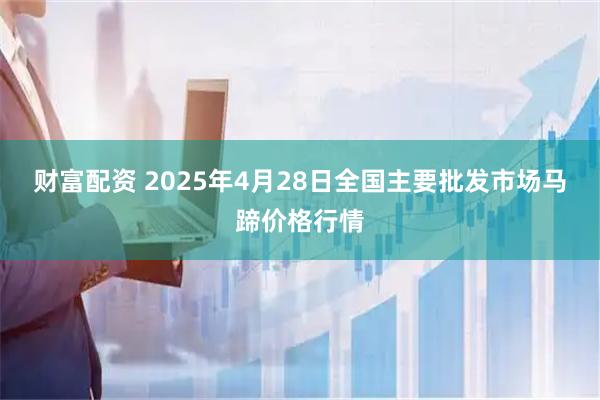 财富配资 2025年4月28日全国主要批发市场马蹄价格行情
