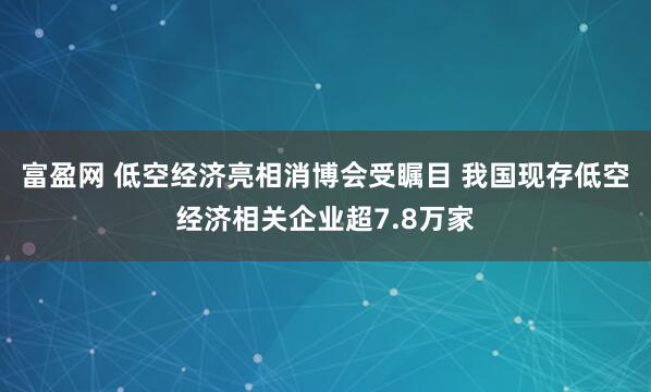 富盈网 低空经济亮相消博会受瞩目 我国现存低空经济相关企业超7.8万家